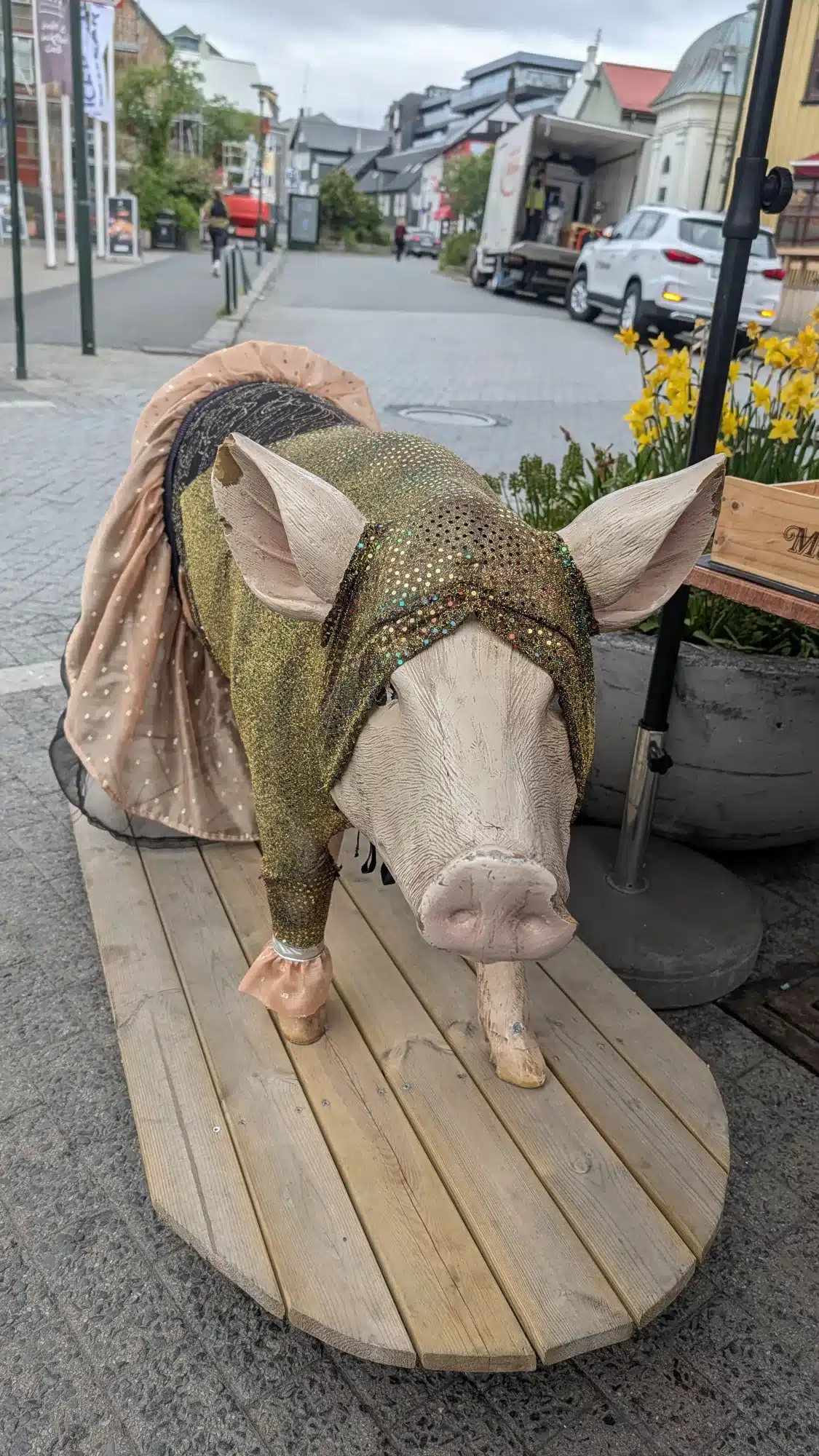Wooden pig sculpture in a green knitted coat on a Reykjavík street